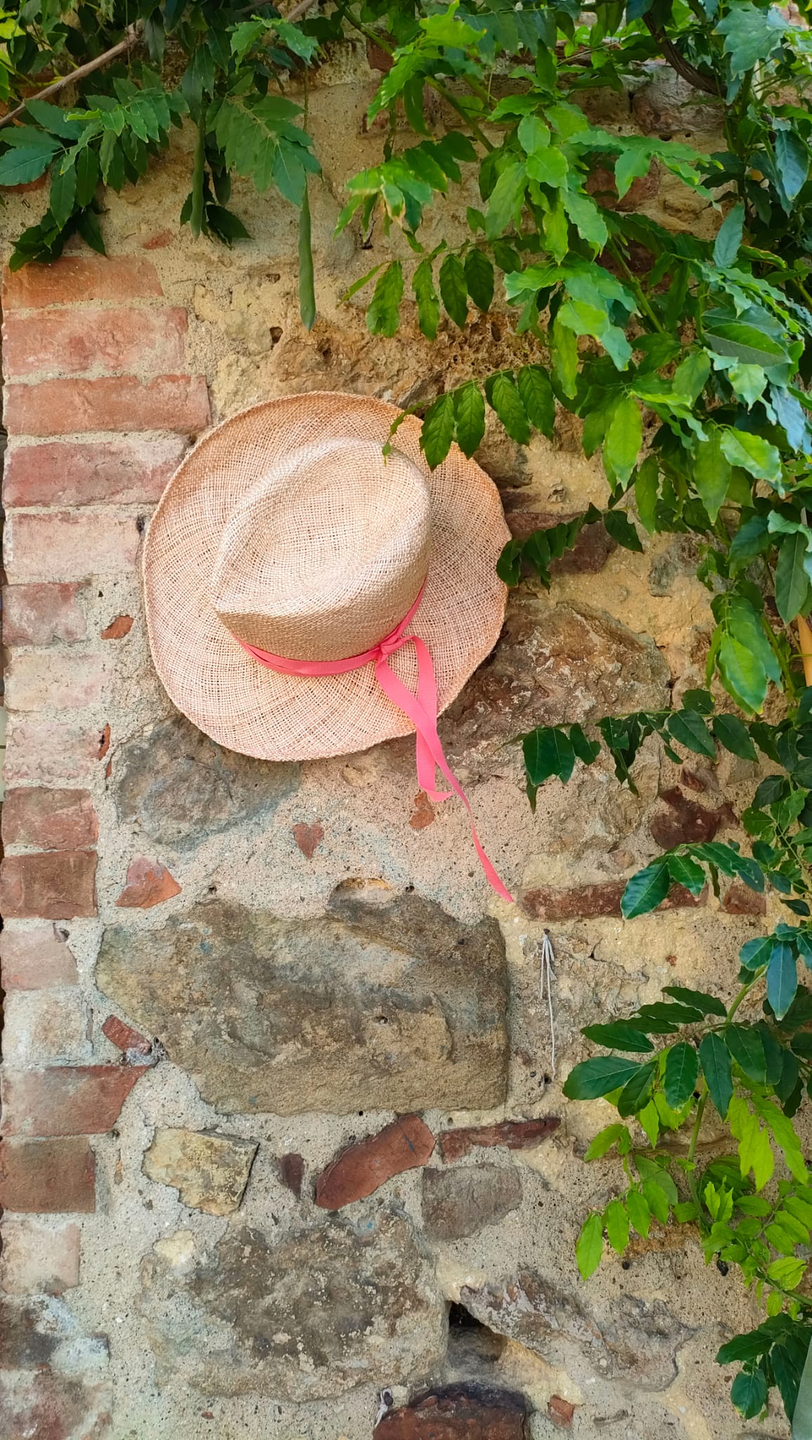 Cappello Fedora Bao
